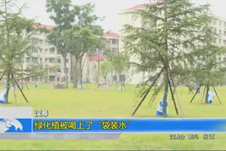 汉寿：绿化植被喝上了“袋装水”