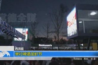 西洞庭：举行啤酒龙虾节
