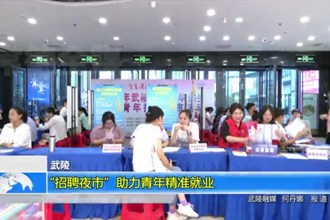 武陵：“招聘夜市”助力青年精准就业