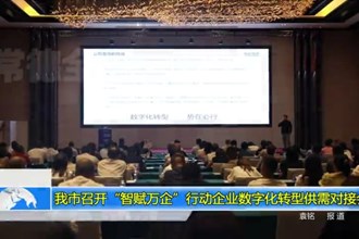 十大彩票网赌平台“智赋万企”行动企业数字化转型供需对接会召开