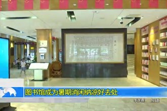 图书馆成为暑期消闲纳凉好去处