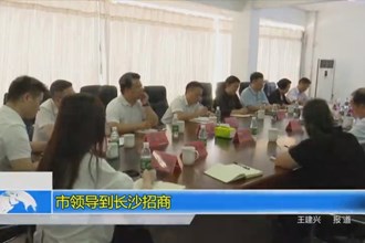 市领导到长沙招商