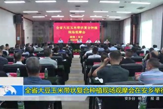 全省大豆玉米带状复合种植现场观摩会在安乡举行