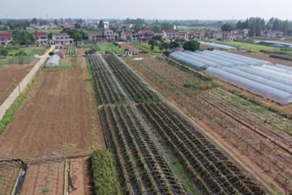 汉寿沧浪街道：火龙果产业融合发展 增强乡村振兴内生动力