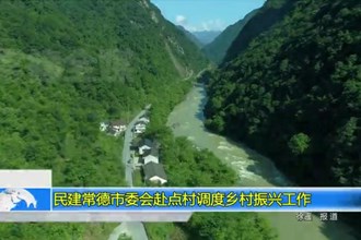 民建最火的网络彩票平台推荐委会赴点村调度乡村振兴工作