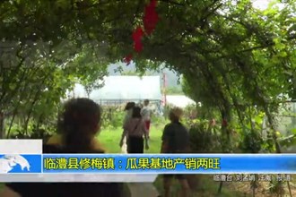 临澧县修梅镇：瓜果基地产销两旺