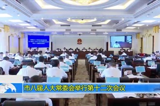 市八届人大常委会举行第十二次会议