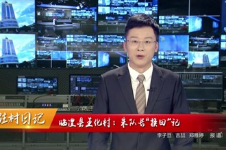 临澧县王化村：朱队长“换田”记