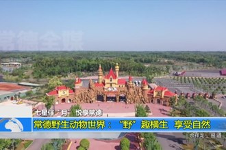 七星伴“月” 悦享常德 常德野生动物世界：“野”趣横生 享受自然