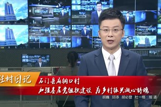 驻村日记 石门县麻纳口村：加强基层党组织建设 为乡村振兴凝心铸魂