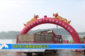 800多万尾鱼苗投放沅江