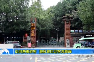 促消费惠游客 澧县景区迎客流高峰