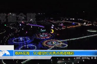 枫林花海：5D星空灯光秀点亮夜精彩