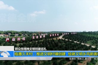 临澧久丰村：推进文明村镇创建 绘就文明乡风新画卷