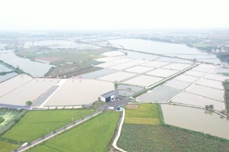 汉寿甲鱼：洞庭育金鳖 香糯留齿间