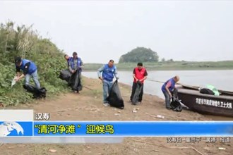 汉寿：“清河净滩 ”迎候鸟