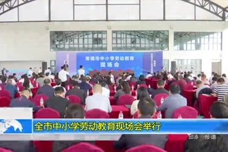 十大彩票网赌平台中小学劳动教育现场会举行