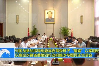 刘国龙参加指导桃源县委常委班子“镜鉴”以案明纪以案促改暨省委第四轮巡视整改专题民主生活会