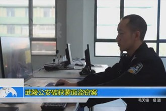 武陵公安破获蒙面盗窃案