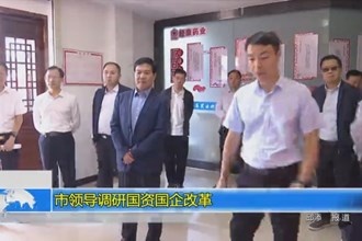市领导调研国资国企改革
