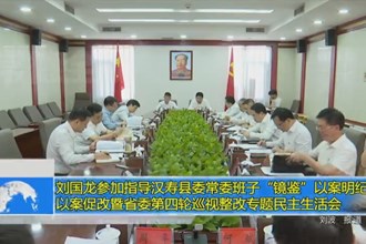刘国龙参加指导汉寿县委常委班子“镜鉴”以案明纪以案促改暨省委第四轮巡视整改专题民主生活会