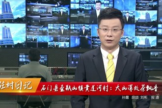 驻村日记 石门县壶瓶山镇黄莲河村：大山深处茶飘香