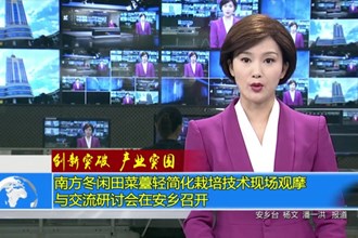 南方冬闲田菜薹轻简化栽培技术现场观摩与交流研讨会在安乡召开