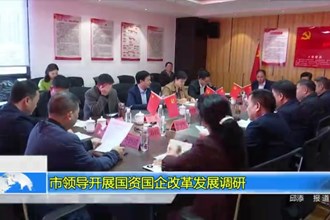市领导开展国资国企改革发展调研