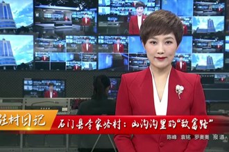 驻村日记 石门县李家峪村：山沟沟里的“致富路”