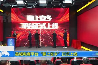 县域电商平台“掌上安乡”正式上线
