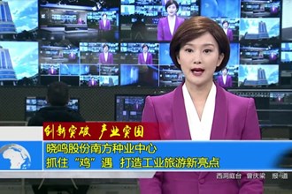 创新突破 产业突围(11.11)