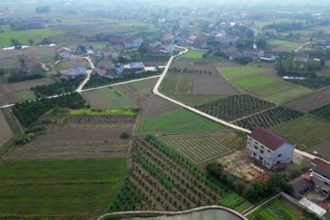 临澧县新安镇：以点带面抓整治 村容村貌“焕新颜”