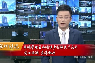 驻村日记 西湖管理区西湖镇乡村振兴示范片： 安心西湖 蔬果飘香