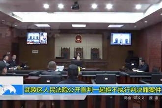 武陵区人民法院公开宣判一起拒不执行判决罪案件