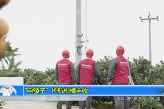 “电骡子”护航柑橘丰收