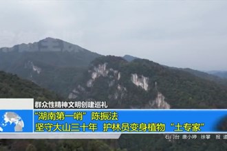“湖南第一哨”陈振法：坚守大山三十年 护林员变身植物“土专家”