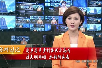 驻村日记 安乡安丰乡村振兴示范片：清美珊珀湖、水韵新画卷