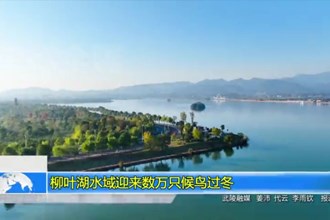 柳叶湖水域迎来数万只候鸟过冬