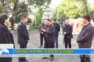 市领导赴市农林科学研究院实地调研