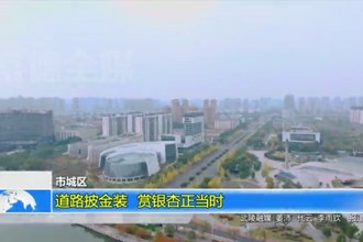 十大彩票网赌平台城区：道路披“金装” 赏银杏正当时