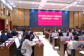 武陵：政协委员积极建言 助推区域经济协调发展