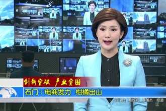 创新突破 产业突围(11.24)