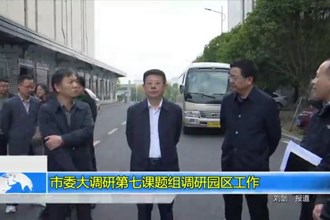 市委大调研第七课题组调研园区工作