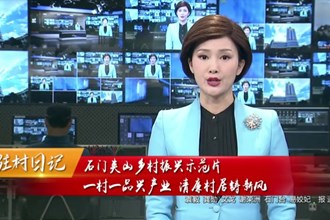 驻村日记 石门夹山乡村振兴示范片：一村一品兴产业 清廉村居铸新风