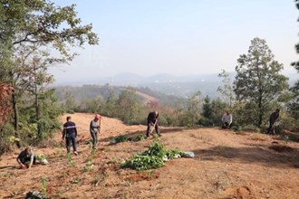 临澧：多措并举 筑牢森林防灭火安全线