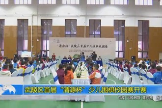 武陵区首届“清源杯”少儿围棋校园赛开赛