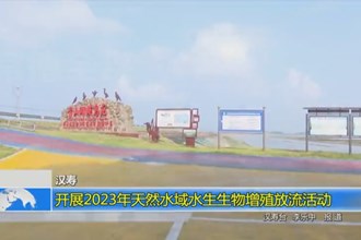 汉寿：开展2023年天然水域水生生物增殖放流活动