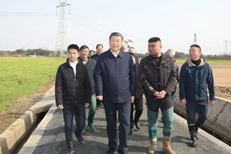 粮食安全 中国饭碗 总书记心中的“国之大者”