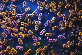 【何处寄相思 · 最忆柳叶湖】⑬