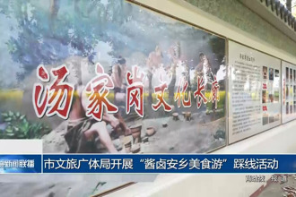 常德市文旅广体局开展